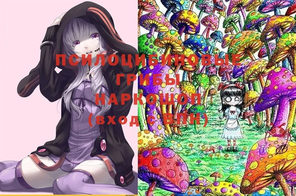 MDMA Беломорск