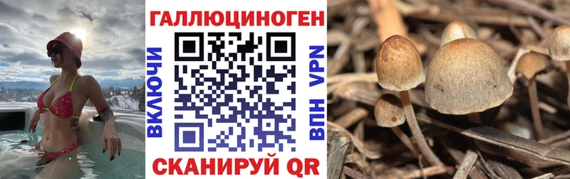 Псилоцибиновые грибы Magic Shrooms  наркотики  Сковородино 